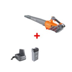 OLEOMAC BVi570 56V Akku-Gebläse Max. Luftgeschwindigkeit 48 m/s | Newgardenmac.com