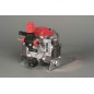 Diaphragm pump M20 VR 15 IMOVILLI medium-high pressure 20 l/1'-25 bar-700 rpm