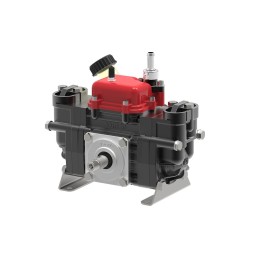 Bomba de pistón PM 22 IMOVILLI alta presión 24 l/1' - 40 bar - 1000 RPM | Newgardenmac.com