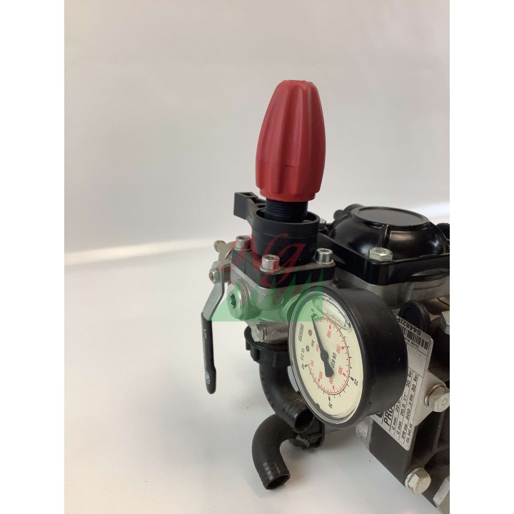 Bomba de motor PRO 25/30 IMOVILLI motor RATO R80-V 21 l/1' - 30 bar - 800 rpm | Newgardenmac.com