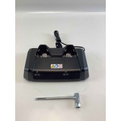 Set potatore a batteria GTA40 STIHL 2 batterie AS 2 caricabatterie AL 5-2 | Newgardenmac.com