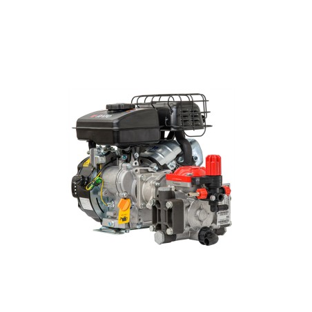 Pompe à moteur M 20 VR 15 IMOVILLI moteur RATO R 80-V 22 l/1' - 25 bar - 700 RPM | Newgardenmac.com