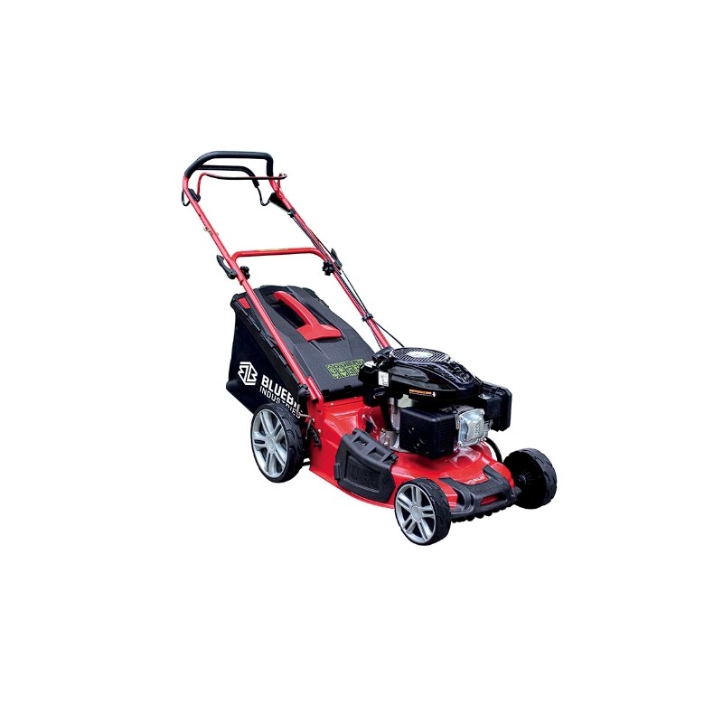 Lawn mower BLUE BIRD TAURUSL51T engine Loncin 196cc cutting width 51cm bag65L