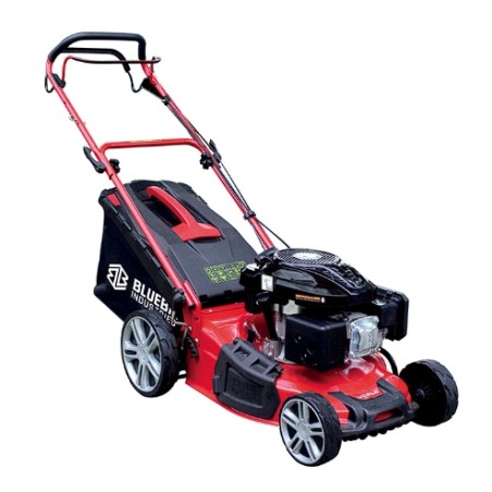 Cortacésped BLUE BIRD TAURUSL51TI Motor Loncin 196cc Anchura de corte 51cm | Newgardenmac.com