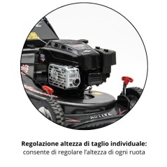 Rasaerba ACTIVE 5850SVA motore 196cc larghezza taglio 55cm cesto 80L | Newgardenmac.com