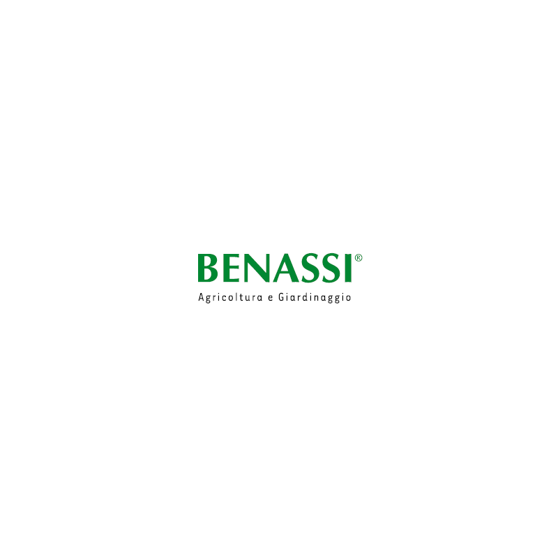 Par de ruedas laterales para la transferencia de la motoexcavadora BL 105 - 106 Benassi 97000411