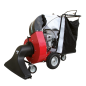 Aspirateur à feuilles AF 200 SLE Benassi EGO PU2710 (sans piles) 8800202