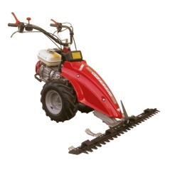 F 170 B Benassi tondeuse à moteur 4 temps SÉRIE B&S 500 E kW 2,2 - 140 cc 8461219 | Newgardenmac.com