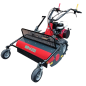 T 600 P Benassi 4-stroke mulcher HONDA GX 270 kW 6.3 - 270 cc 8756817