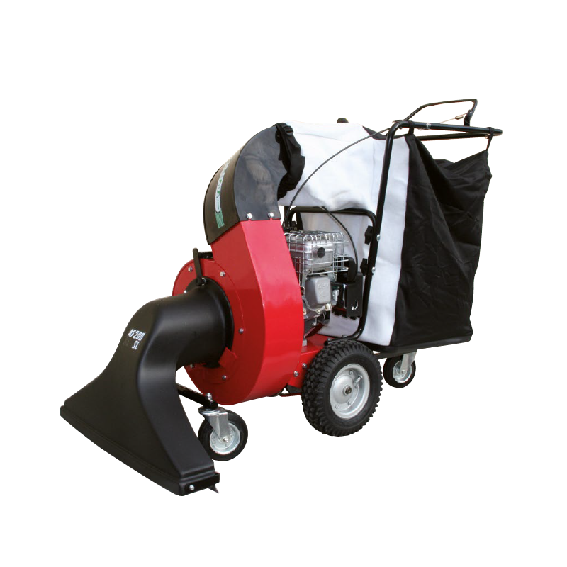 AF 200 SL Aspirafoglie Benassi 4 tempi Briggs&Stratton SERIE XR 6,5 kW 4,2 - 208 cc 8801702