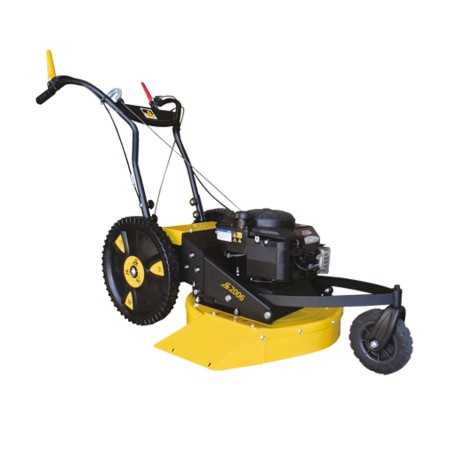 Falciatutto RL2006 B 53 cm SERIE ROQUES ET LECOEUR con motore BRIGGS & STRATTON | Newgardenmac.com