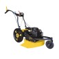 Falciatutto RL2006 B 53 cm SERIE ROQUES ET LECOEUR con motore BRIGGS & STRATTON