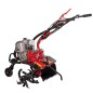ZANETTI ZEN50.21SG 149cc 2.5kW cultivador 4 azadas gasolina tractor segmento