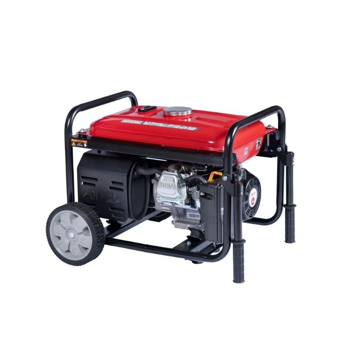 Generador de gasolina ZANETTI ZBG3300C de 224 cc, potencia máxima 3,3 kW, voltaje 230 V | Newgardenmac.com