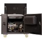 Generatore benzina silenziato ZANETTI ZBG5500SEA 420cc monofase 230V 5,5kW