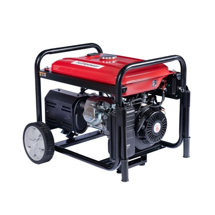 Open petrol generator ZANETTI ZBG7003CEA 420cc single phase three phase 230V 400V | Newgardenmac.com