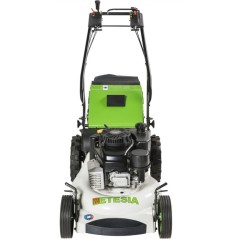 ETESIA PRO53-FJ180V self-propelled professional lawnmower, 182cc KAWASAKI engine, 53 cm cutting width | Newgardenmac.com
