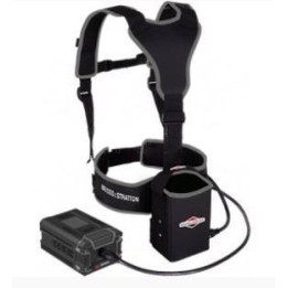 ORIGINAL BRIGGS&STRATTON Akku-Rucksacksatz | Newgardenmac.com