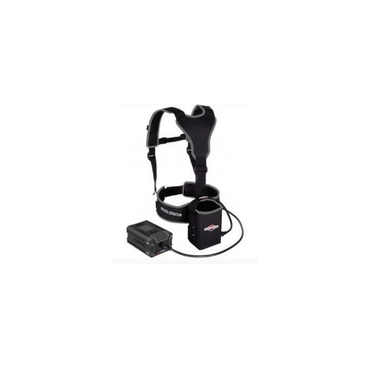 ORIGINAL BRIGGS&STRATTON battery backpack kit | Newgardenmac.com