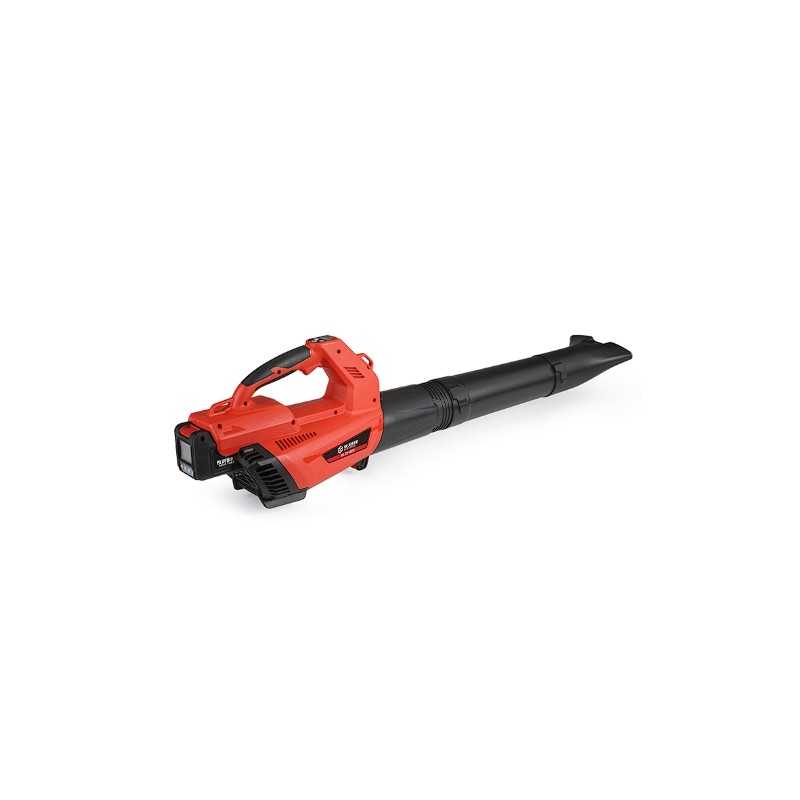 Soffiatore BLUE BIRD BL 23-800 potenza 800W velocita' aria 70m/s motore Brushless