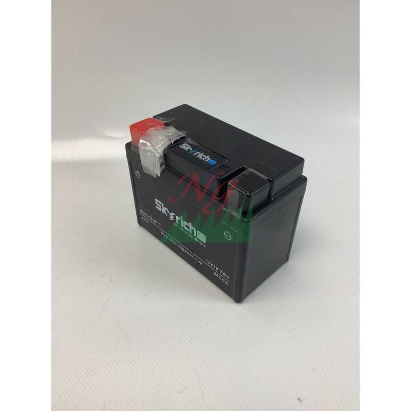 Générateur de batterie au lithium 12V modèles PGE48iS ORIGINAL OLEOMAC L66152716