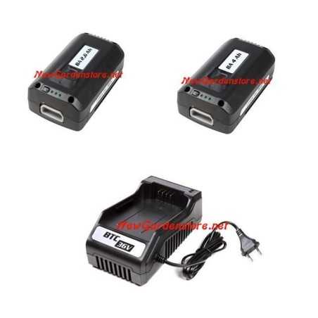OLEOMAC BA 4 Ah 36v battery or BTC 36V charger | Newgardenmac.com