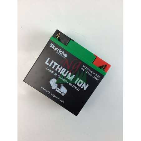 SKYRICH tracteur de pelouse batterie lithium capacité 22Ah tension 12V | Newgardenmac.com