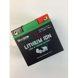 SKYRICH tracteur de pelouse batterie lithium capacité 32Ah tension 12V | Newgardenmac.com