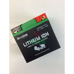 SKYRICH Rasentraktor Lithium-Batterie Kapazität 32Ah Spannung 12V