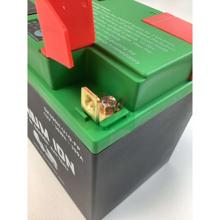 Batería de litio para tractor de césped SKYRICH capacidad 32Ah tensión 12V | Newgardenmac.com
