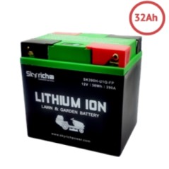 SKYRICH lawn tractor lithium battery capacity 32Ah voltage 12V | Newgardenmac.com