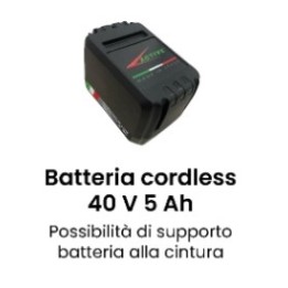 Batterie sans fil ACTIVE 40 V 5 Ah avec option clip ceinture | Newgardenmac.com