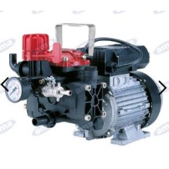 AR 252EM electric pump with single-phase electric motor for spraying 34164 | Newgardenmac.com