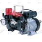 AR 252EM electric pump with single-phase electric motor for spraying 34164