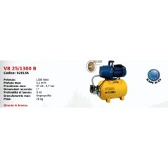 Electropump autoclave VB 25/1300 B ELPUMPS 1300 Watt | Newgardenmac.com