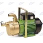 Electric transfer pump with double directional self-priming handle 01089