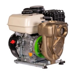 Pompe à essence auto-amorçante ZANETTI PB80-210AG/B, bronze marin, hauteur de refoulement max. 28 m | Newgardenmac.com