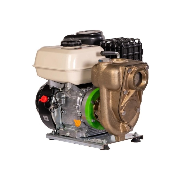 Pompe à essence auto-amorçante ZANETTI PB80-210AG/B, bronze marin, hauteur de refoulement max. 28 m | Newgardenmac.com