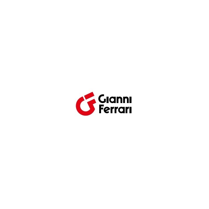 Kit de contrapesos para tractor cortacésped profesional GIANNI FERRARI GTS CWH100 92105 | Newgardenmac.com