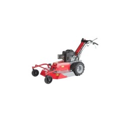 Cortacésped MECCANICA BENASSI RF710IDRO motor B&S 3105 gasolina de trabajo0 70 cm | Newgardenmac.com