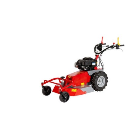 Tondeuse RF630 MECCANICA BENASSI BRIGGS&STRATTON 950E moteur à essence 5.6 HP | Newgardenmac.com