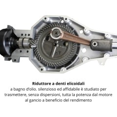Scuotitore olive professionale ACTIVE M60 51,7cc asta 30mm lunghezza 2 - 3,2 m | Newgardenmac.com