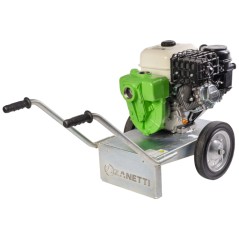 Pompe à essence auto-amorçante ZANETTI PB50-270AGE, hauteur de refoulement max. 45 m | Newgardenmac.com