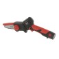 Potatore BLUE BIRD CS 22-04 con 2 batterie e caricabatteria 12.6 V barra 10 cm