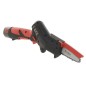 Potatore BLUE BIRD CS 22-04 con 2 batterie e caricabatteria 12.6 V barra 10 cm