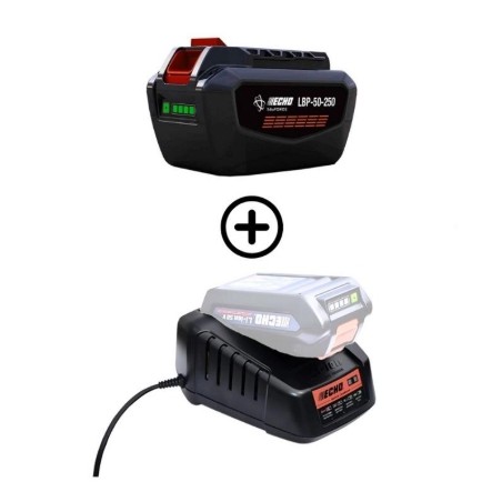 Kit 1 batterie LBP56V250 252 Wh 5 Ah + chargeur rapide DBC-560 56 V ECHO | Newgardenmac.com