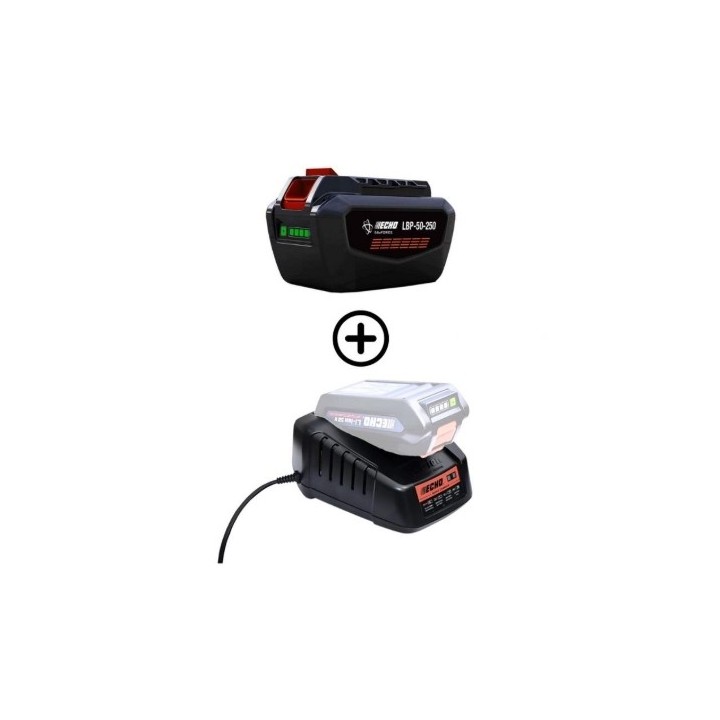 Kit 1 batterie LBP56V250 252 Wh 5 Ah + chargeur rapide DBC-560 56 V ECHO | Newgardenmac.com