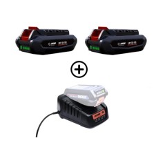 Kit 2 batteries LBP56V125 126Wh 2,5Ah + chargeur rapide DBC-560 56V ECHO | Newgardenmac.com