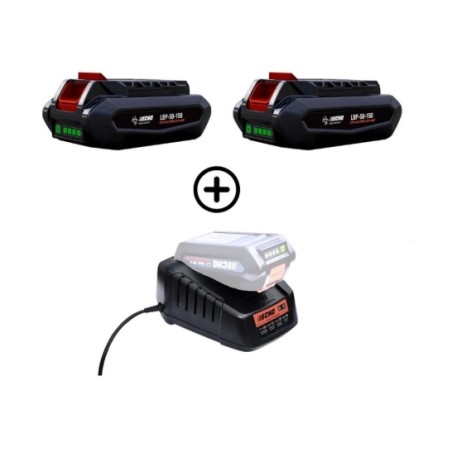 Set mit 2 Akkus LBP56V125 126Wh 2,5Ah + Schnellladegerät DBC-560 56V ECHO | Newgardenmac.com