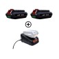 Kit 2 batteries LBP56V125 126Wh 2,5Ah + chargeur rapide DBC-560 56V ECHO